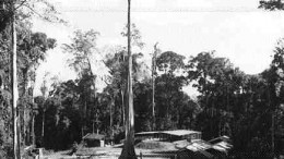 In its previous incarnation as Cambiex Exploration, Hope Bay Gold carried out extensive gold exploration in the Guiana Shield with partners Cambior, Guyanor Resources and Golden Star Resources. Pictured above is Guyanor's former St. Elie/Dieu-Merci project in French Guiana.