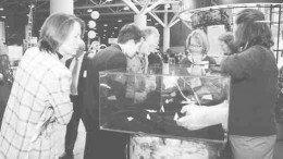 Large quantities of gemstones always attract attention -- and tedious questions about free samples. Here, delegates look longingly at rough stones displayed at the De Beers exhibit.