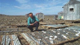 Prospector George Harkin examines drill core the from Expo-Ungava property in northern Quebec. The drill program was financed in part by issuing 1.05 million flow-through units in February.