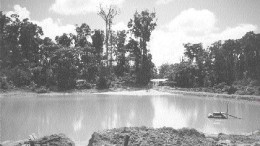An area stripped by garimpeiros at the Las Cristinas property in Bolivar State, Venezuela. About 10,000 independent miners swarmed the property as gold prices recovered.