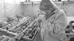 Pelangio Mines President and CEO Ingrid Hibbard examines core at the Detour Lake camp in northeastern Ontario.