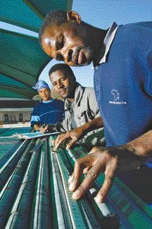 PLATINUM GROUP METALSPlatinum Group Metals staff log drill core at theWestern Bushveld Joint Venture with Anglo Platinum.