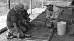 Examining core samples at SearchGold Resources' 36%-owned Bakoudou-Magnima gold project in Gabon, a joint venture with Moroccan company Managem. The partners have received a mining permit for the project, which holds 155,000 oz. in proven and probable reserves.