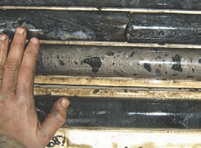 Core samples from Mustang Minerals' Mayville copper-nickel project.