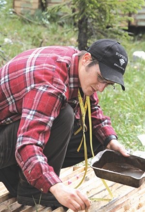 Geologist Adam Kojos examines cores from Atac Resources' Rau project.