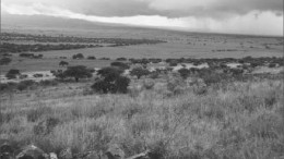The landscape at Orko Silver and Pan American Silver's La Preciosa silver-gold project in Durango, Mexico. Photo by Pan American Silver