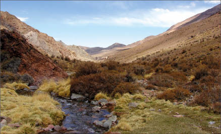 Coro Mining's San Jorge copper-gold porphyry project in Mendoza province, Argentina. Coro Mining on FTP
