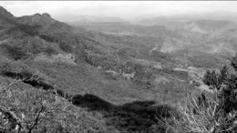 Goldgroup Mining's Caballo Blanco gold project, 65 km northwest of Veracruz, Mexico. Goldgroup Mining