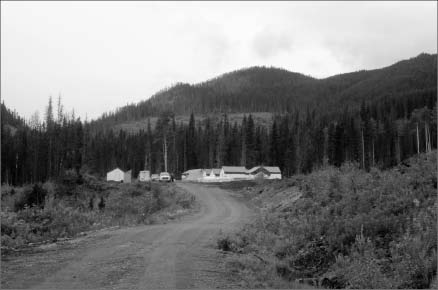 The road to the exploration camp at First Point Minerals' Decar nickel-iron alloy project in central British Columbia. Photo by Matthew Allan