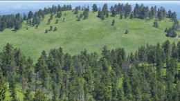 The Bull Hill zone at Rare Element Resources' Bear Lodge rare earth elements project in Wyoming. Photo by Rare Element Resources