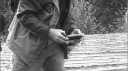 First Point Minerals president and CEO Peter Bradshaw examines awaruite core at the Decar nickel-iron ore project in central British Columbia. Photo by Matthew Allan