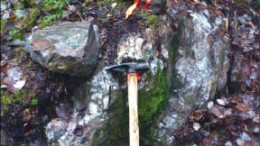 A showing of fuchsite and carbonate-altered mafic to ultramafic volcanic rocks, recrystallized cherty iron formation and quartz veins at Benton Resources' Sewell gold project near Timmins, Ontario. Photo by Benton Resources