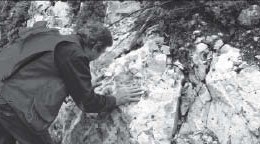 Consolidated Woodjam Copper president and CEO Bill Morton examines an outcrop at the Woodjam copper-gold project. Photo by Fjordland Exploration