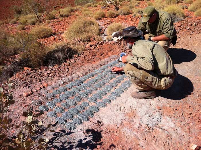 Novo Resources releases PEA for Beatons Creek in Australia - Vimarsana News