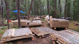 Drill core from Foran Mining's flagship McIlvenna Bay polymetallic project. Credit: Foran Mining