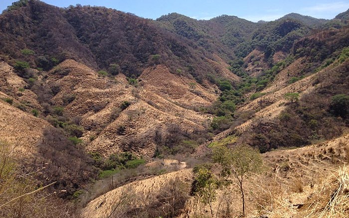 Cangold's Guadalupe de los Reyes gold-silver project in Sinaloa, Mexico. Credit: Cangold