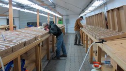 Geologists inspect samples inside the core tent at Corvus Gold's North Bullfrog gold-silver project in Nevada. Source: Corvus Gold