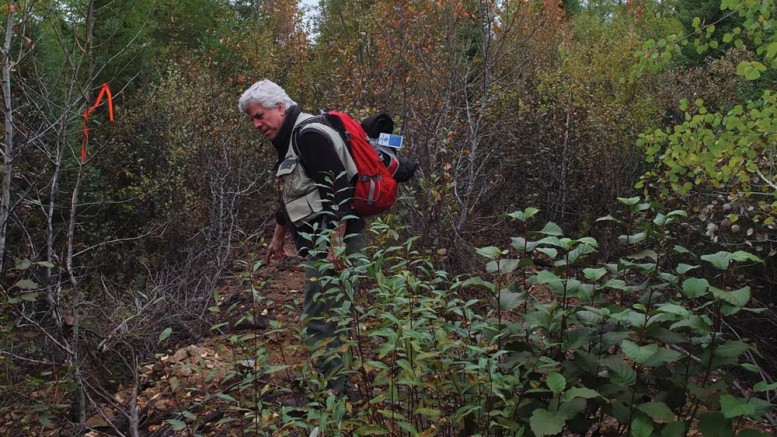 Geological engineer Jacquelin Gauthier at the Argor niobium property in northern Ontario’s James Bay lowlands. Credit: MDN.