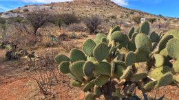 A western view of Southern Silver Exploration's polymetallic Cerro Las Minitas project in Durango state, Mexico. Photo by Lesley Stokes.