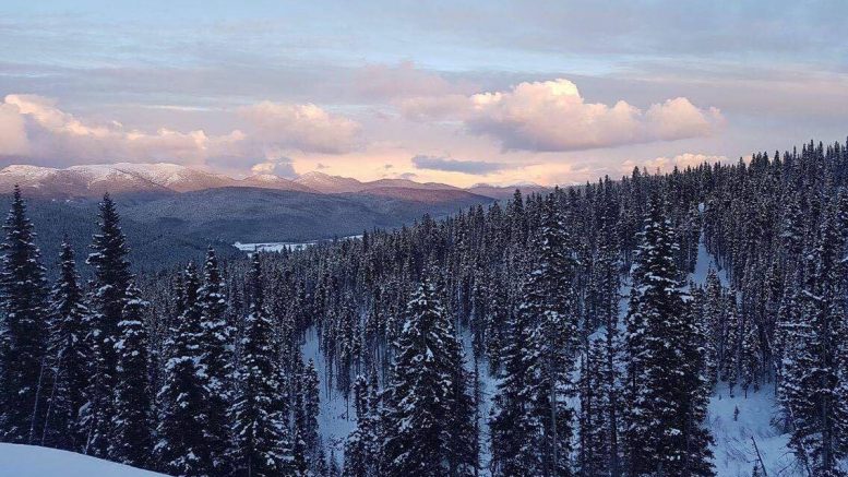 The rolling topography surrounding Barkerville's landholdings outside the town of Wells, British Columbia. Credit: Maggie Layman.