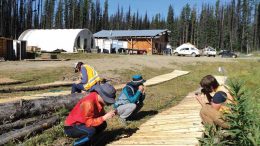 Project geologist Cole Godrey (far right) and Daewoo representatives examine core at the Kwanika copper-gold project, 250 km east of Smithers, British Columbia. Credit: Serengeti Resources.