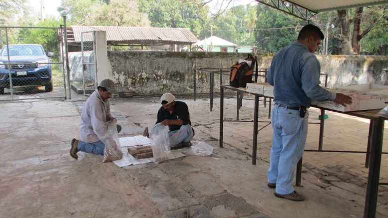 Workers prepare samples at Candelaria Mining’s Caballo Blanco gold-silver project in Mexico. Credit: Candelaria Mining.