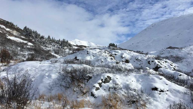 Stratabound Minerals' Golden Culvert gold property in the Yukon. Credit: Stratabound Minerals.