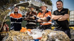 RNC Minerals personnel behind high-grade gold specimens from the Beta Hunt mine in Australia. From left: geologist Lachlan Kenna, air-leg miner Henry Dole, mine foreman Warren Edwards and senior geologist Zaf Thanos. Photo by ABC Goldfields-Esperance Jarrod Lucas.