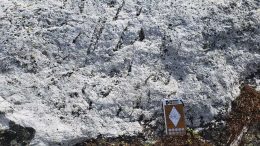 Spodumene-bearing pegmatite outcrops at 92 Resources’ Corvette lithium property in Quebec’s James Bay region. Credit: 92 Resources.