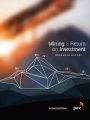 Mining & Return on Investment