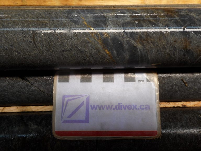 Radisson extends high-grade gold mineralisation below O'Brien - Vimarsana News