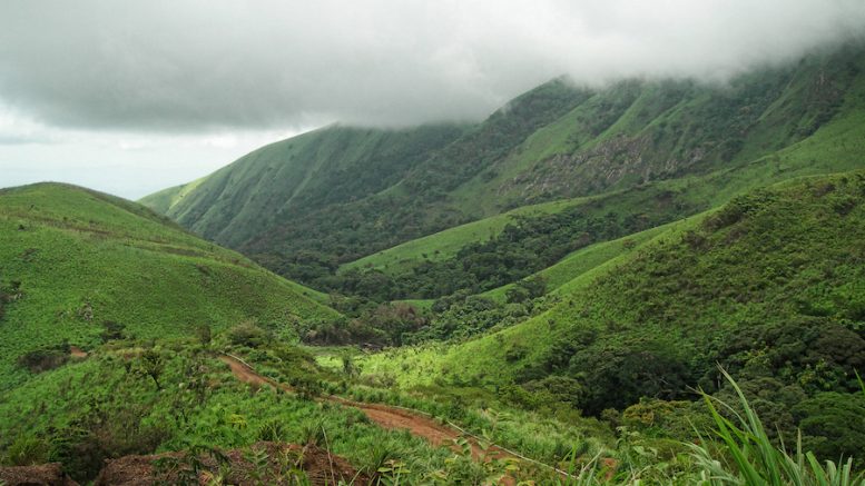 Mount Nimba lies at the intersection of Liberia, Guinea and Côte d’Ivoire. (Photo by Guy Debonnet | UNESCO.)