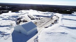 Rio Tinto and Star Diamond make peace