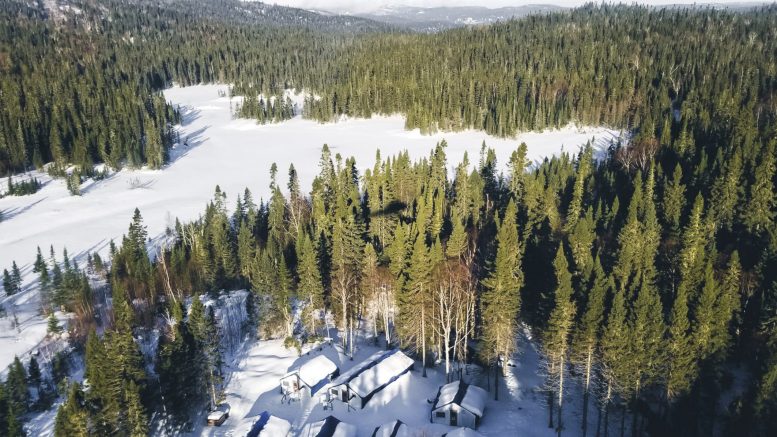 Hemlo Explorers stock jumps 53% as Barrick weighs an earn-in on Pic