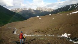 Equinox and Sandstorm create news royalty company