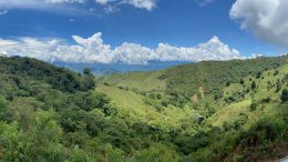 Collective Mining Apollo Colombia