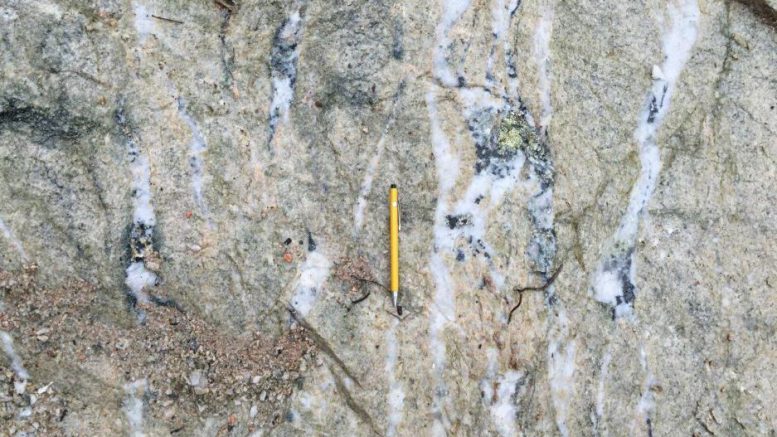 Cerrado issued preliminary licence for Brazil gold project, shares rise