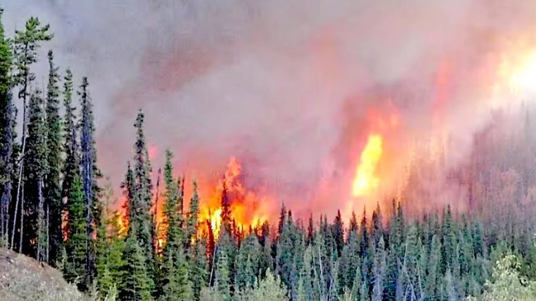 Wildfires force miners in Quebec and Labrador to halt operations