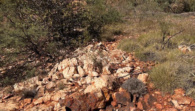 Drill Down: Peregrine reports best width x grade gold value yet in Australia