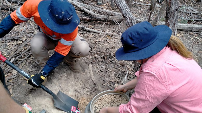 TNM Drill Down Southern Cross Sunday Creek