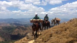 Panama rejects Orla Mining request for permit extension