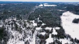 New Found Gold Queensway Flyover