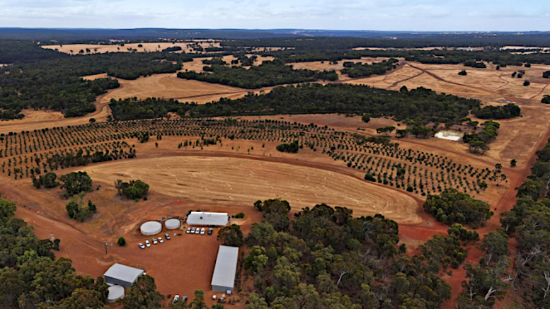 Chalice downsizes board, cut costs amid nickel prices slump