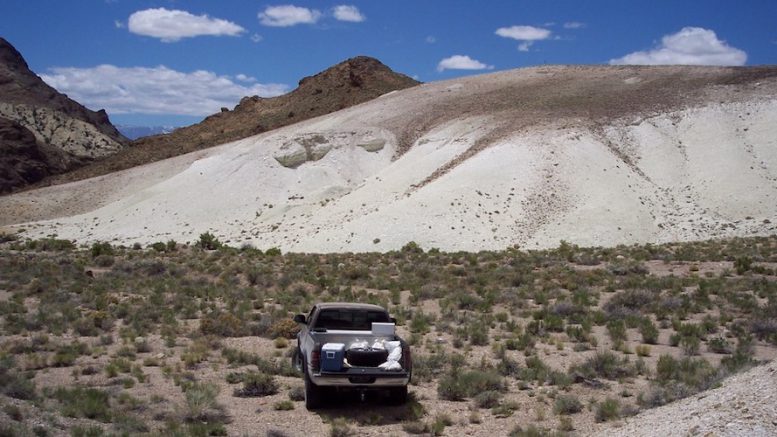 Sibanye walks away from Rhyolite Ridge lithium project on weak prices