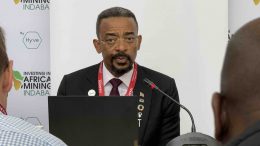 Minerals Council South Africa Mzila Mthenjane