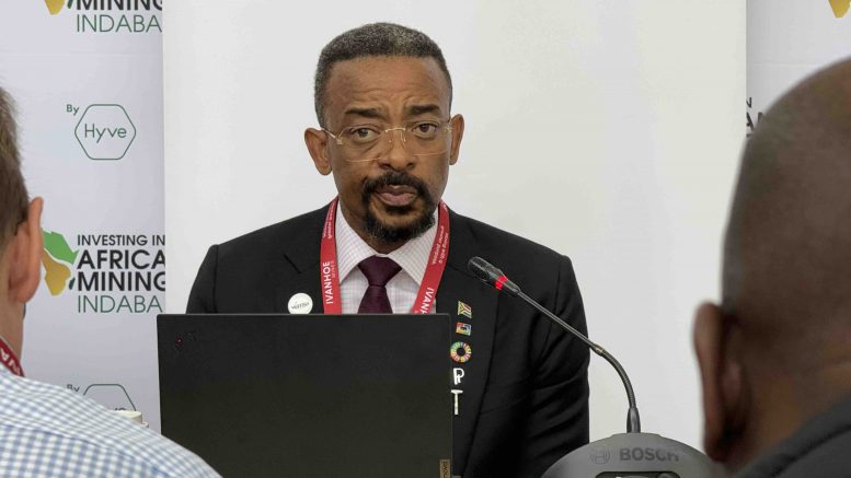 Minerals Council South Africa Mzila Mthenjane