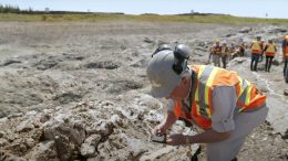 New Found Gold Investor Day 2024