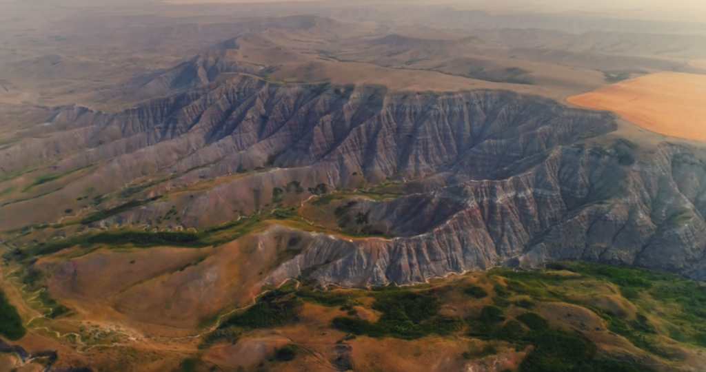 Bearpaw Formation Alberta
