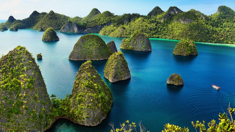 Indonesia revokes nickel mining permits at top diving spot