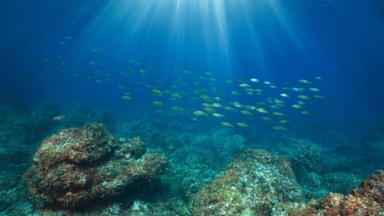 Oceans protection law to tighten squeeze on seabed miners